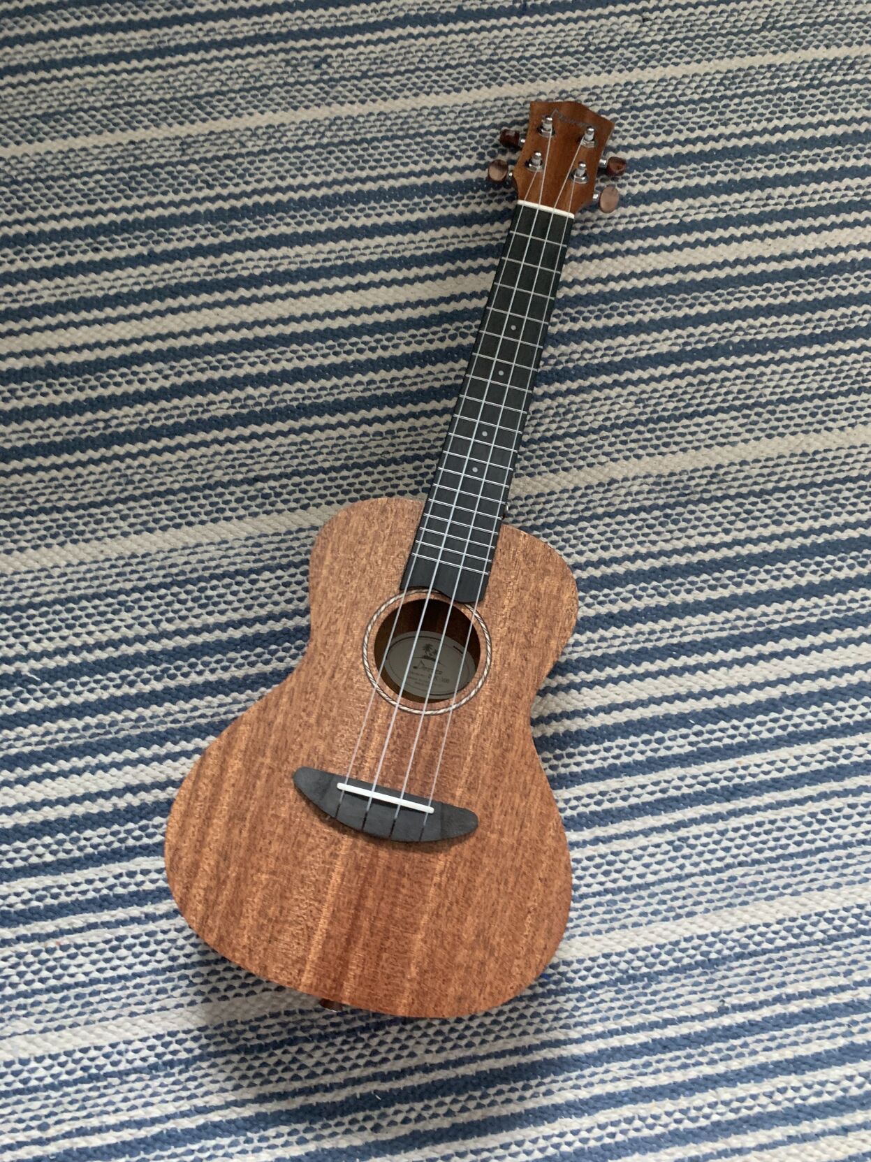 ukulele